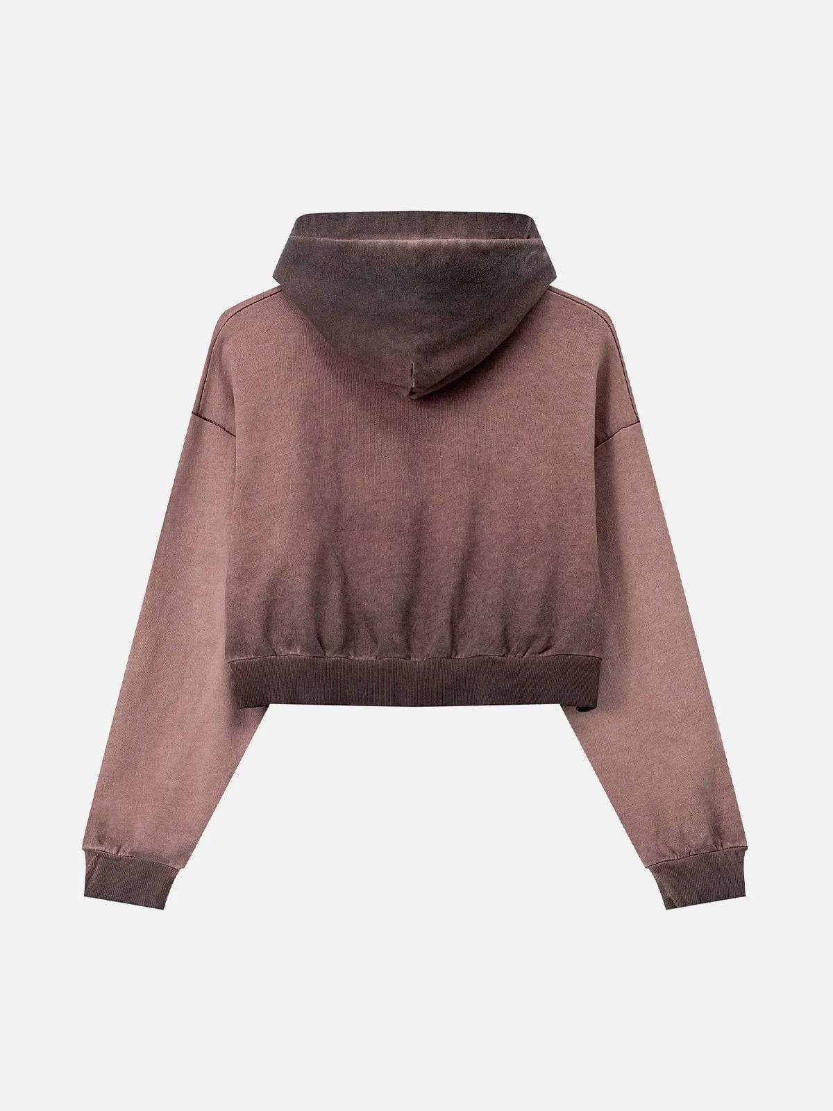 Aelfric Eden Washed Cropped Hoodie