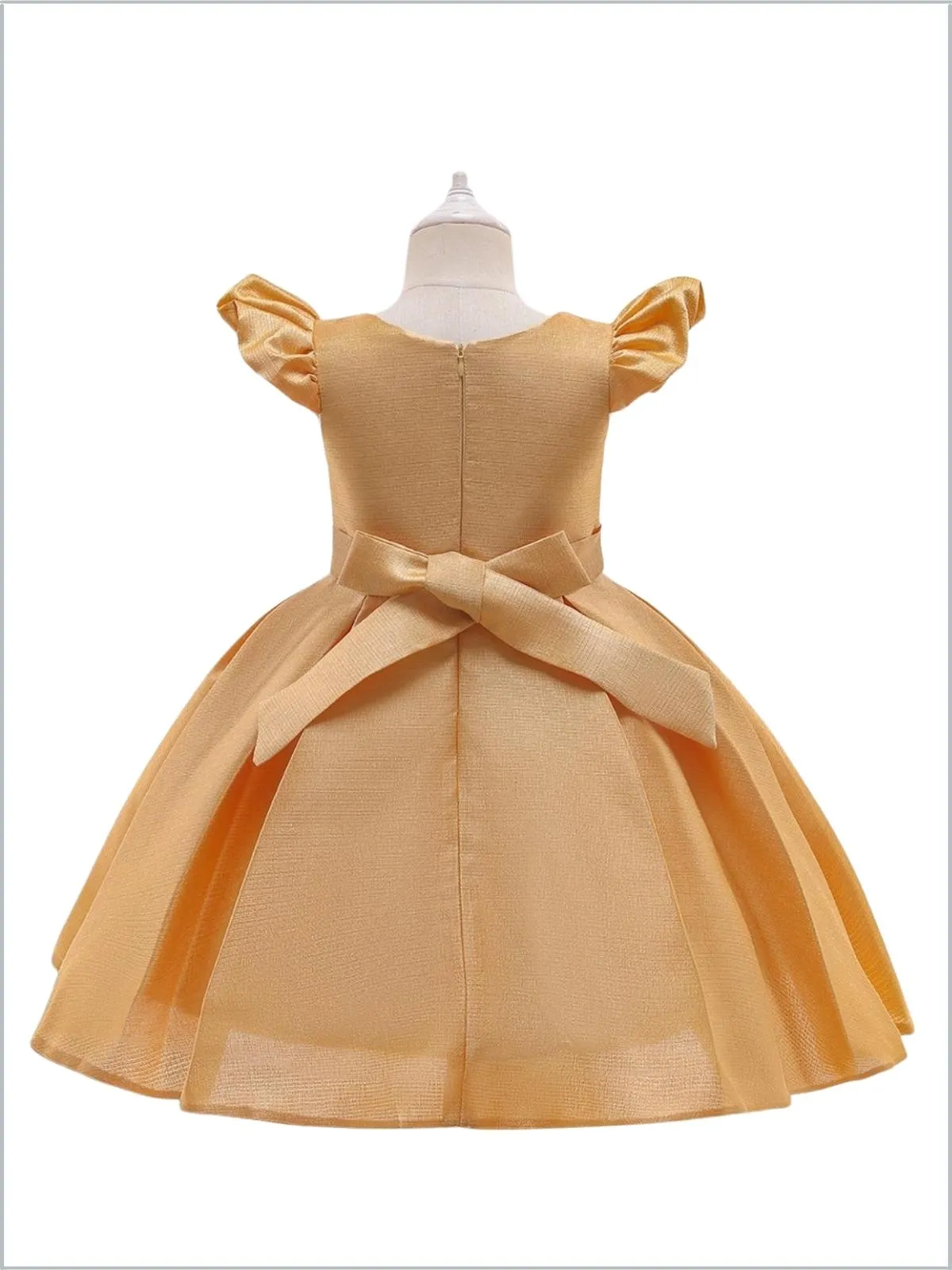 Precious Darling Embroidered Princess Dress