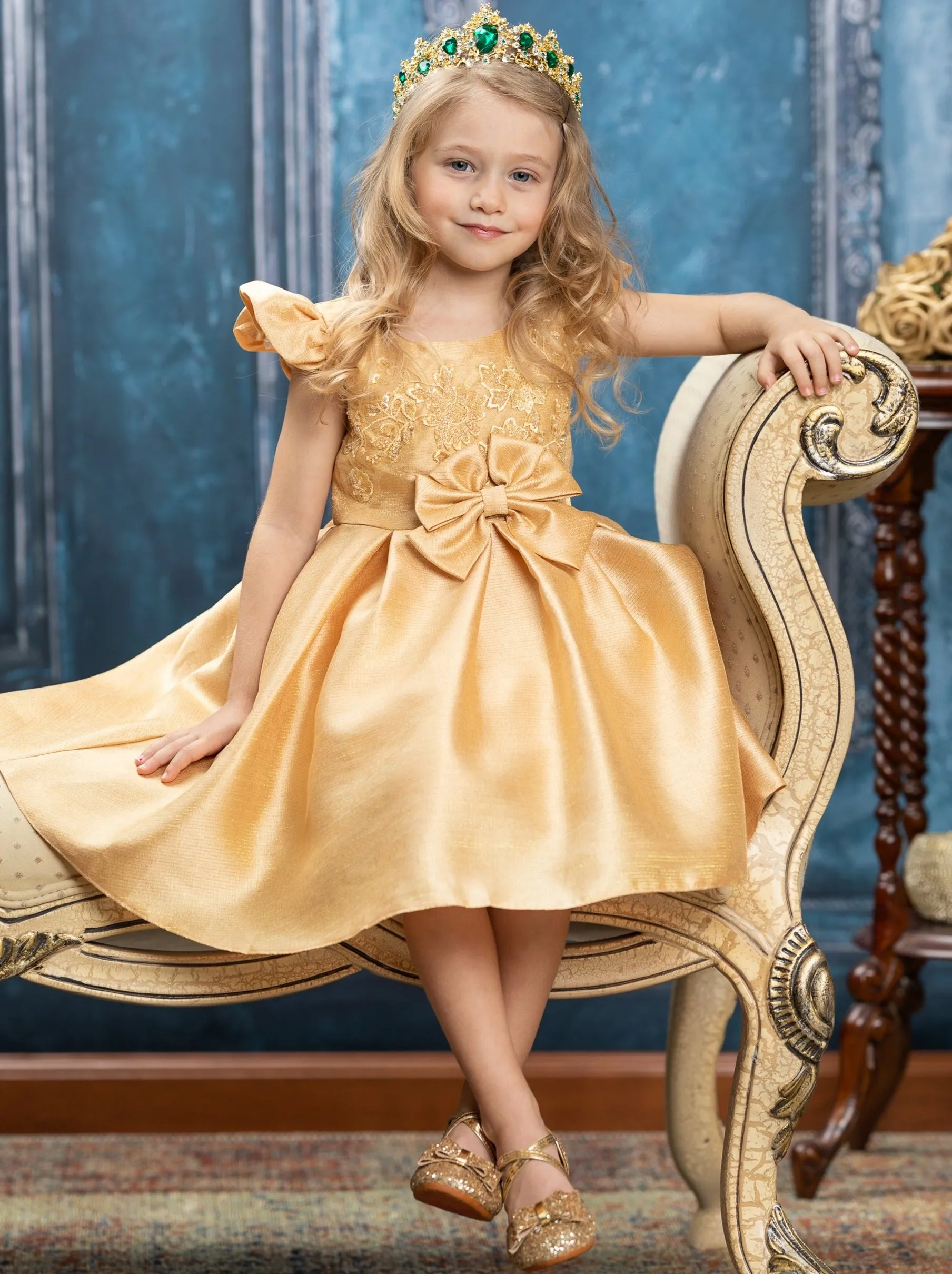 Precious Darling Embroidered Princess Dress