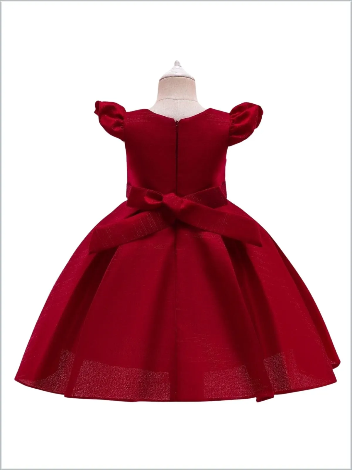 Precious Darling Embroidered Princess Dress