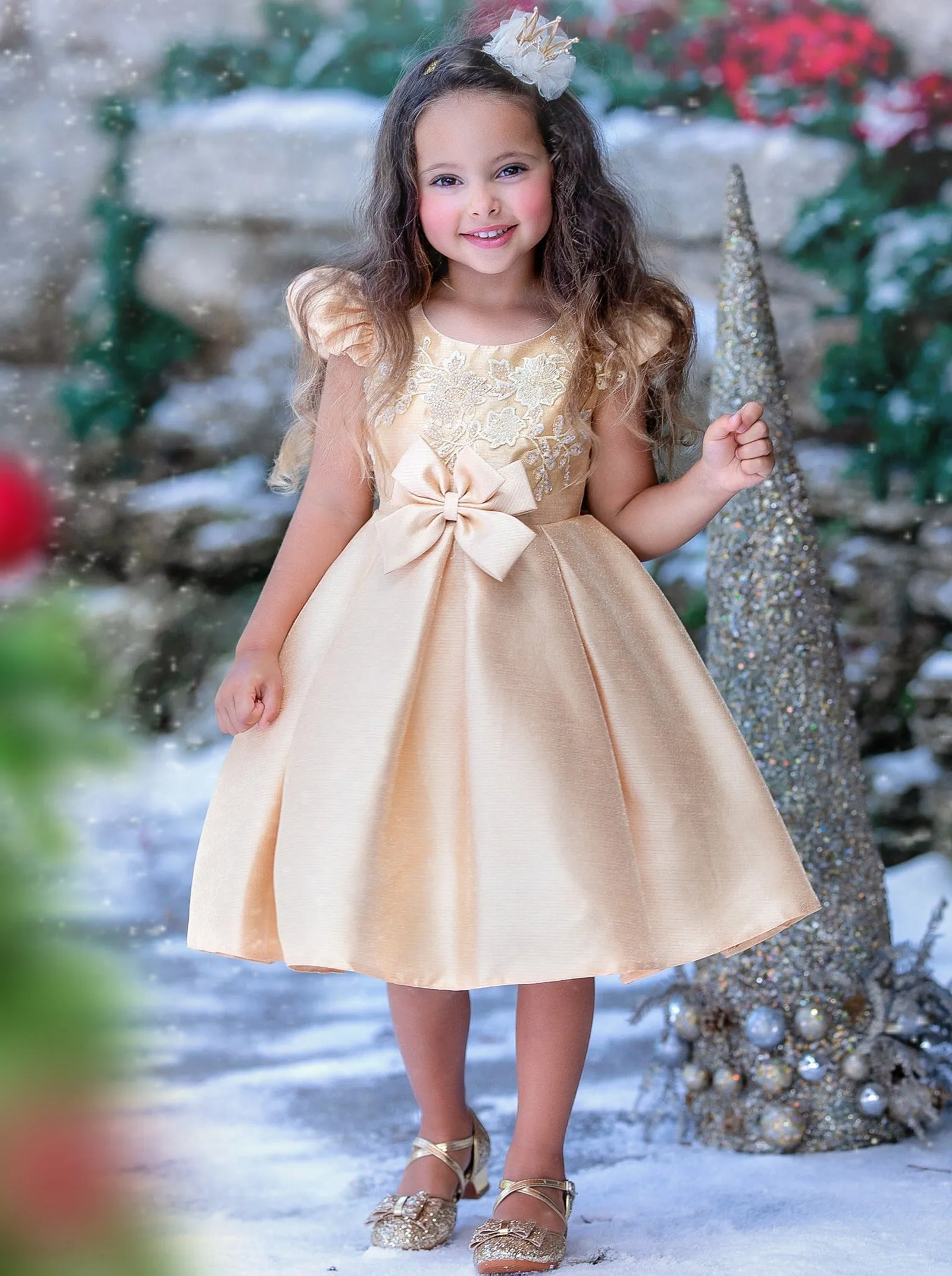 Precious Darling Embroidered Princess Dress