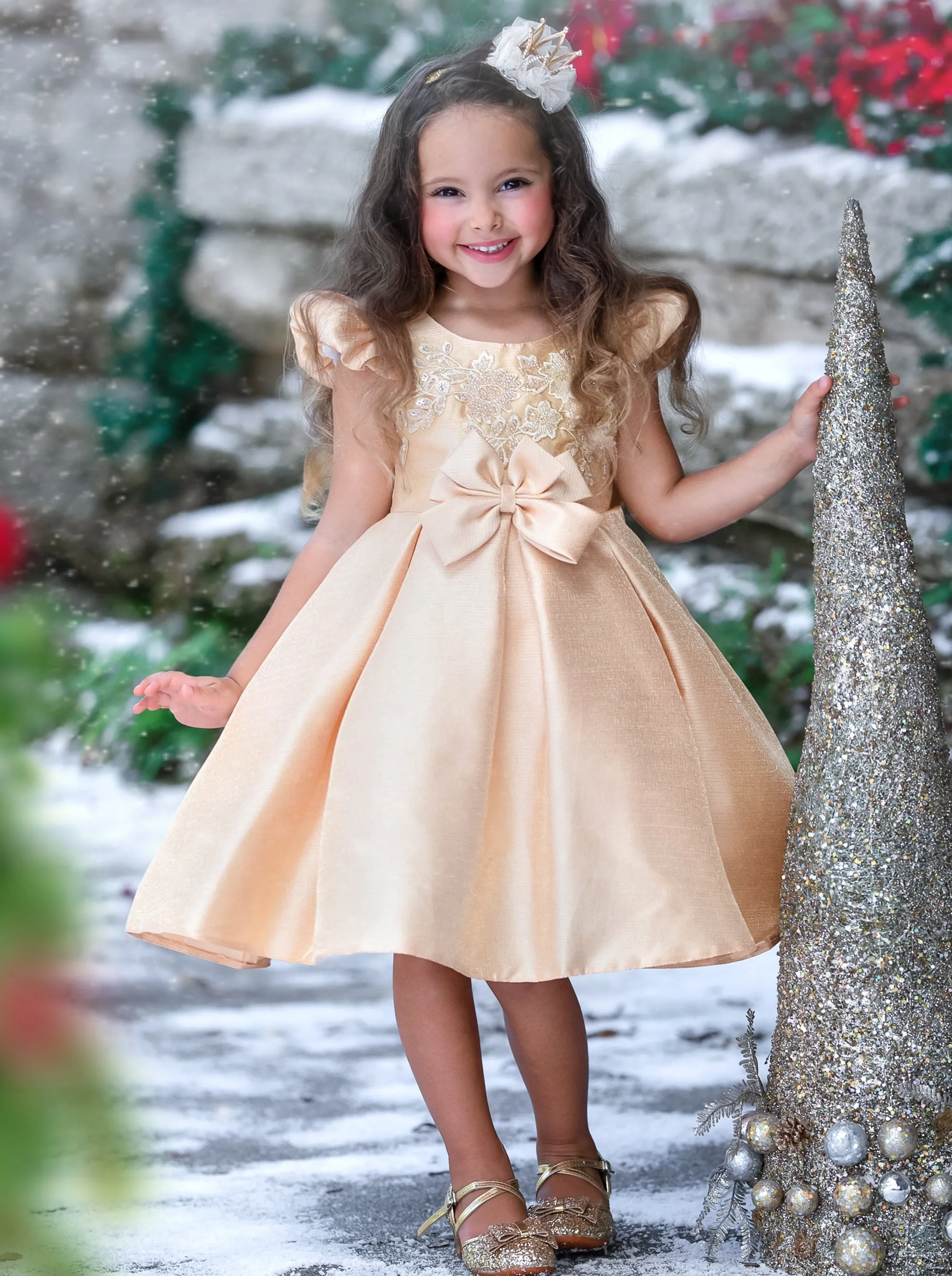 Precious Darling Embroidered Princess Dress