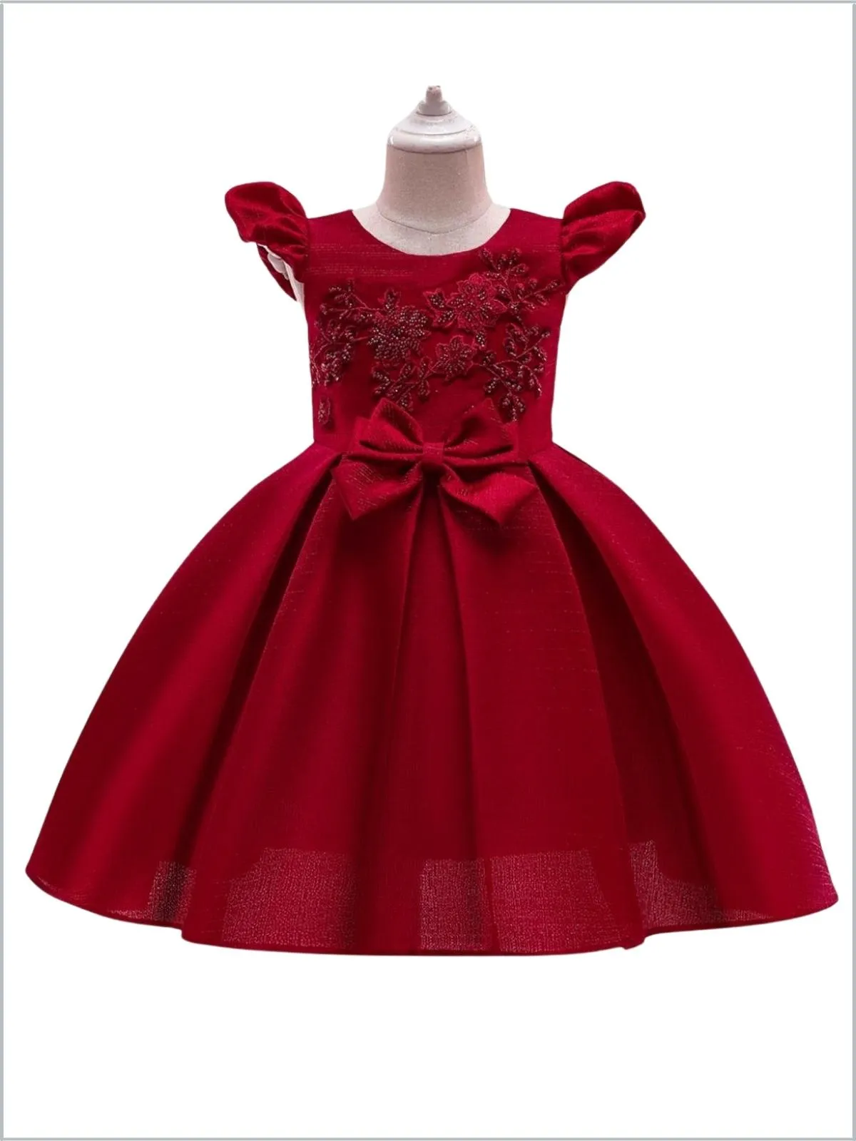 Precious Darling Embroidered Princess Dress