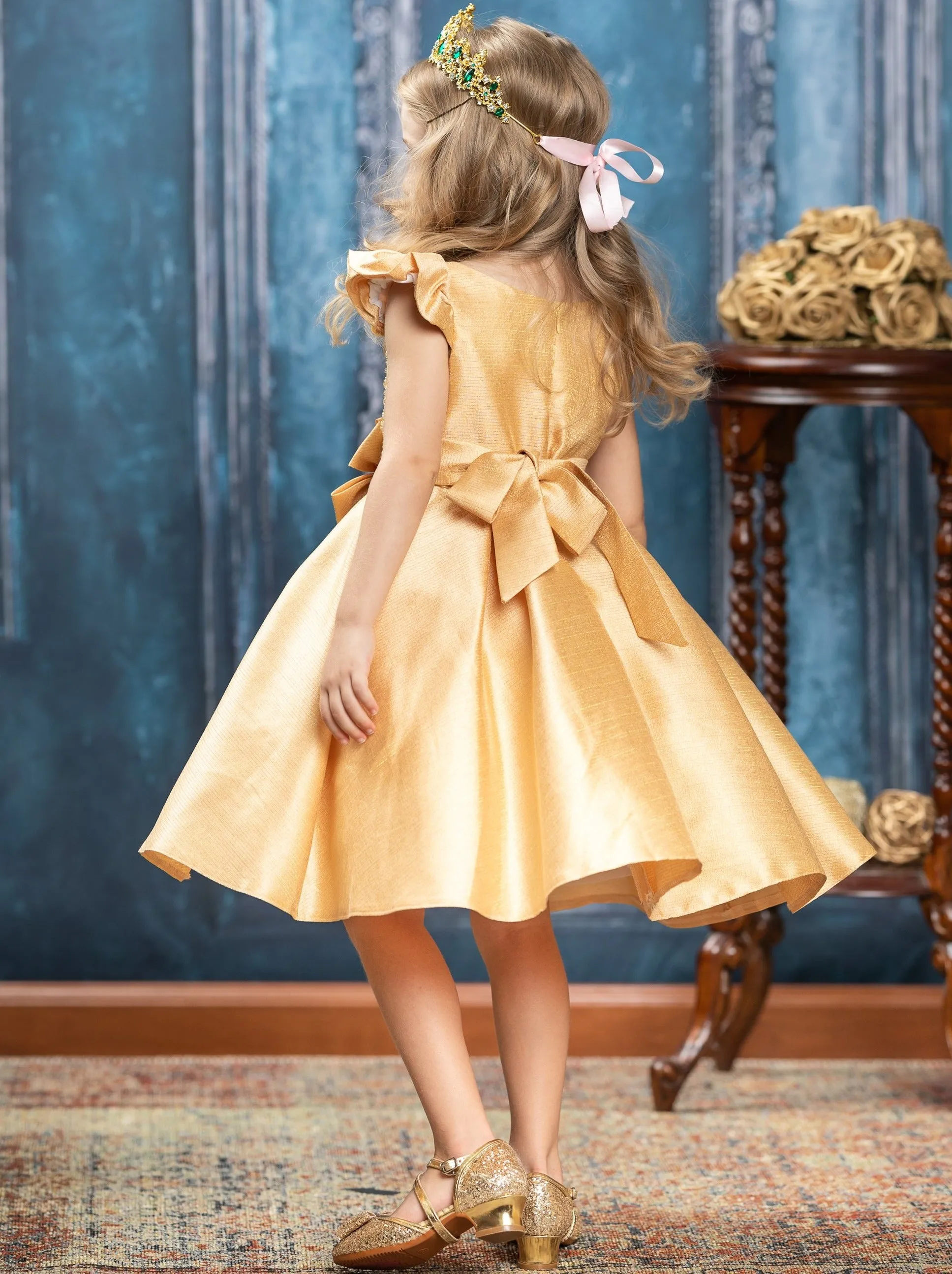 Precious Darling Embroidered Princess Dress